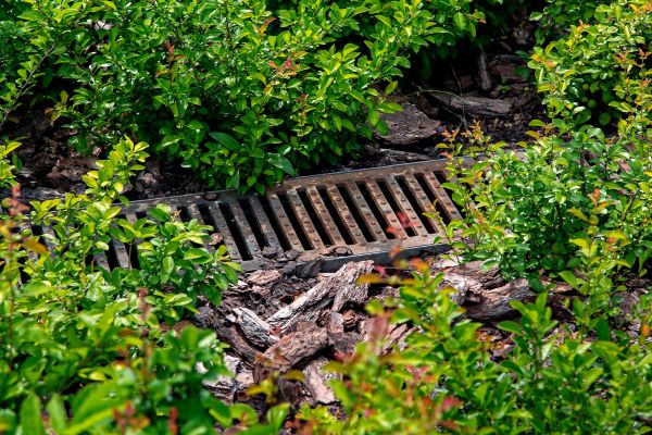 Cost of Underground Drainage Service in Palm Harbor