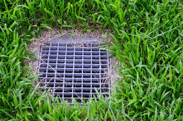 Cost of Yard Water Drainage in Palm Harbor