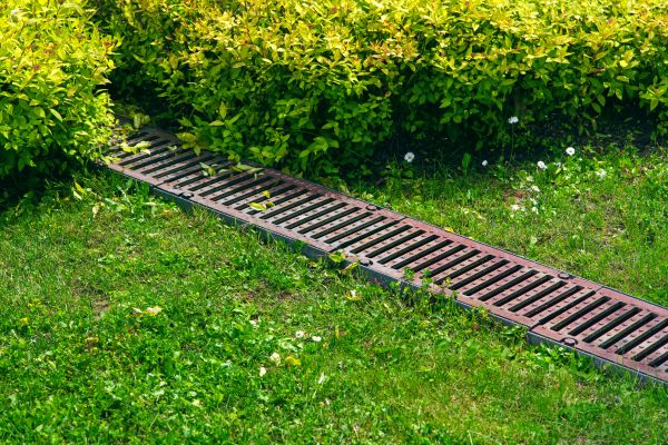 Cost of Lawn Drainage in Palm Harbor