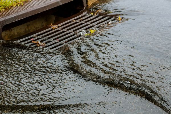 Cost of Storm Drainage Service in Palm Harbor