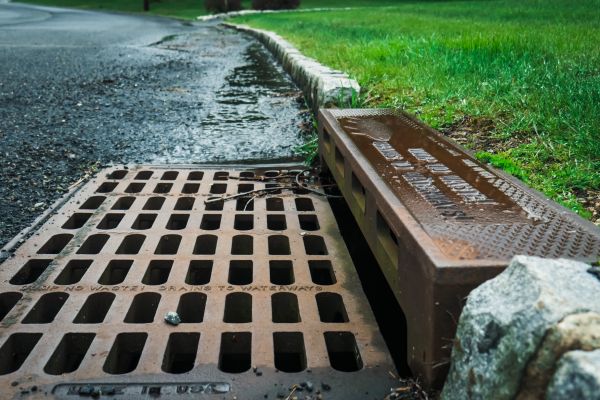 Cost of Rainwater Diversion in Palm Harbor
