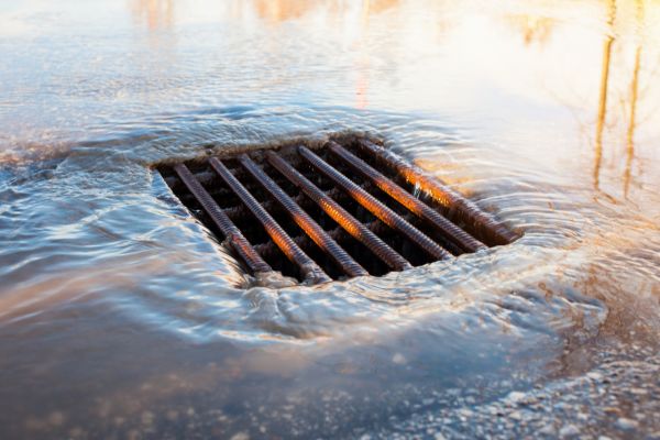 Cost of Water Pooling Prevention in Palm Harbor