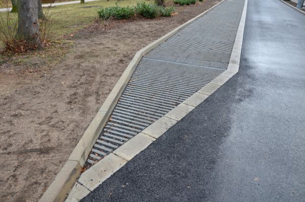 Cost of Muddy Yard Drainage in Palm Harbor