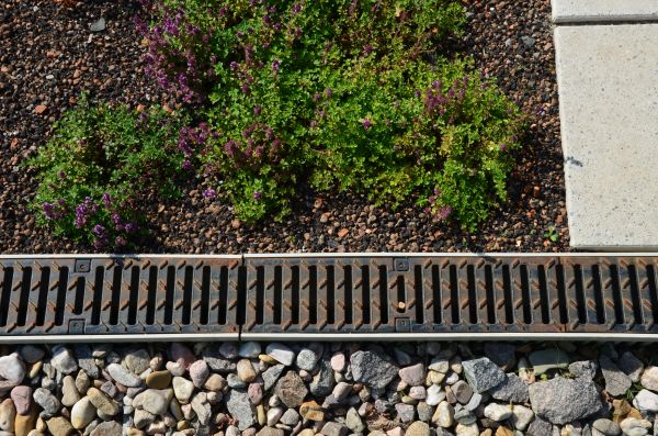 Cost of Yard Drain Installation in Palm Harbor