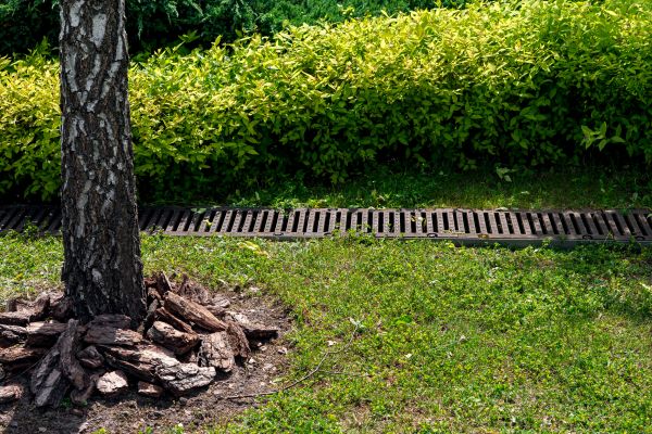 Cost of Garden Drainage Installation in Palm Harbor