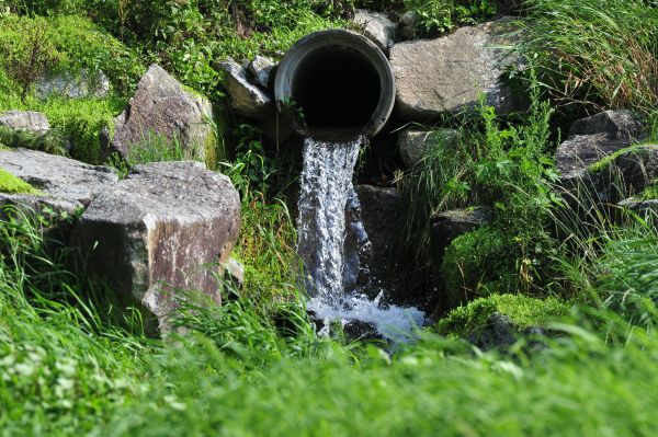 Cost of Water Redirection in Palm Harbor
