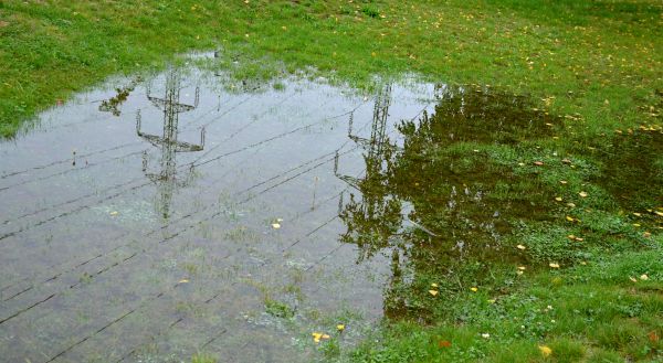 Cost of Standing Water Drainage in Palm Harbor
