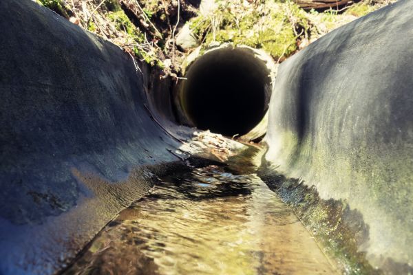 Cost of Drainage Swale Installation in Palm Harbor