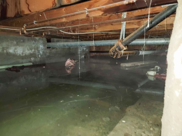 Cost of Crawlspace Drainage in Palm Harbor