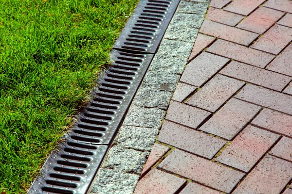Cost of Perimeter Drain Service in Palm Harbor