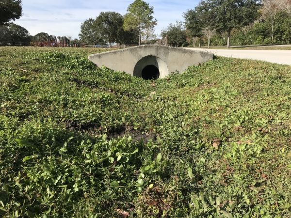 Cost of Swale Drainage Service in Palm Harbor