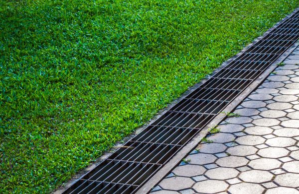 Cost of Water Drainage Replacement in Palm Harbor